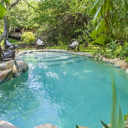 Little Bush Lodge Hoedspruit Dış mekan fotoğraf