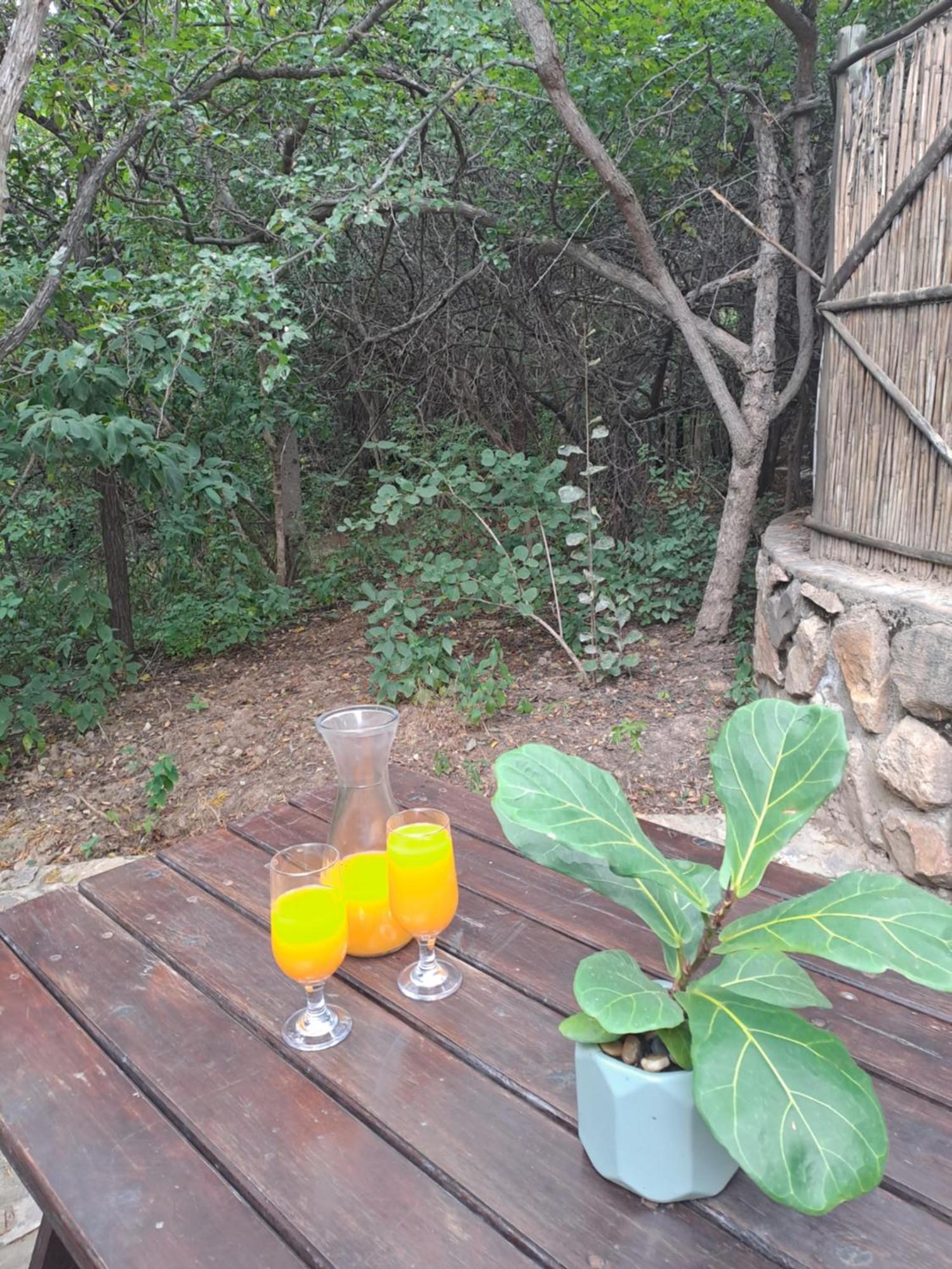 Little Bush Lodge Hoedspruit Dış mekan fotoğraf