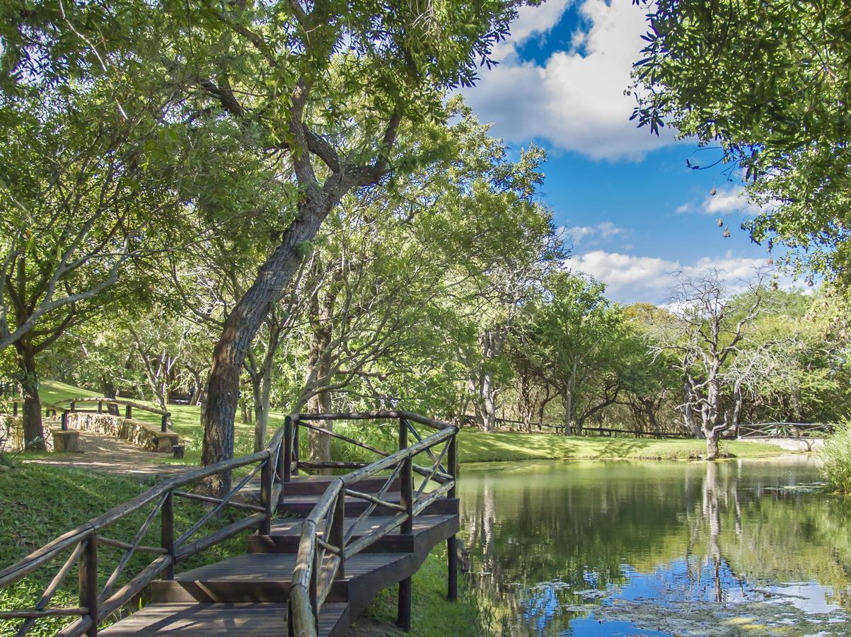Little Bush Lodge Hoedspruit Dış mekan fotoğraf
