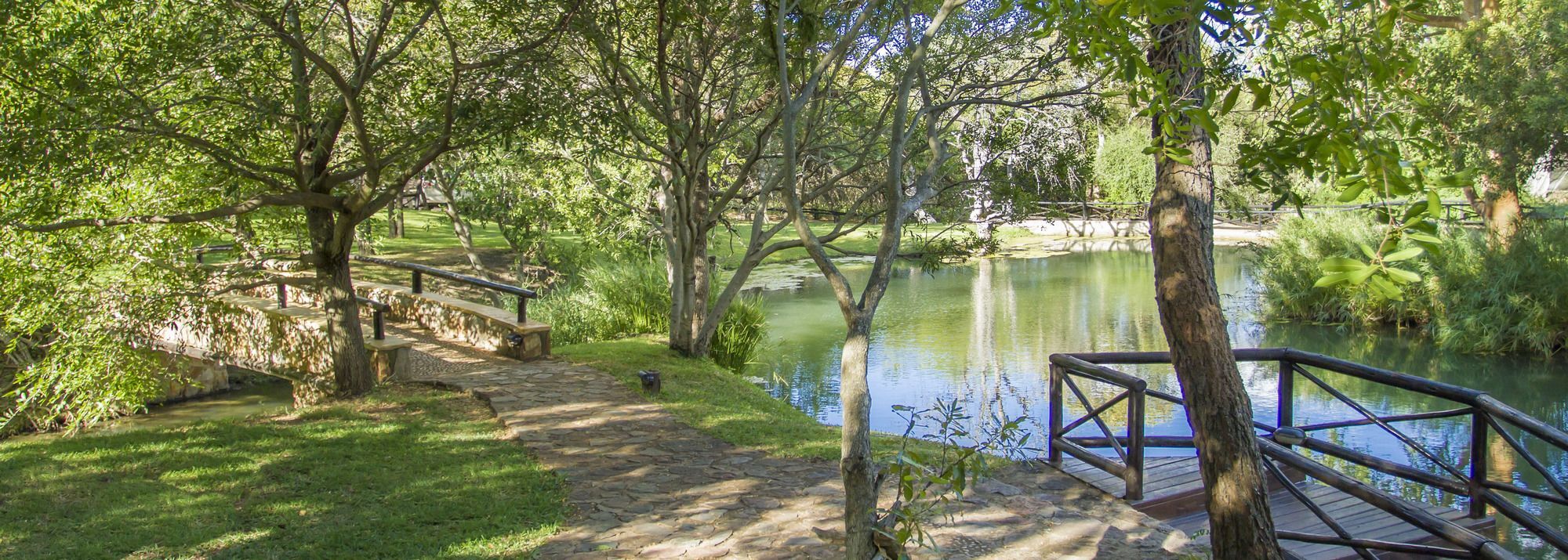 Little Bush Lodge Hoedspruit Dış mekan fotoğraf